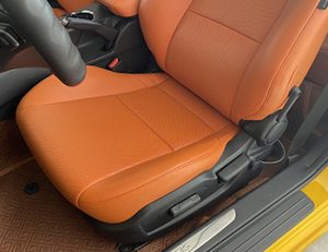 SƠN MÀU NỘI THẤT Ô TÔ – LEATHER CARE PRO